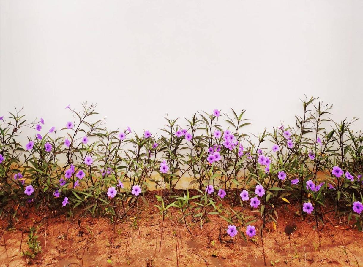 Bed and Breakfast Nararin Garden House Ban Nong Sa Екстер'єр фото